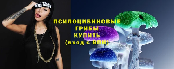 мет Надым